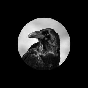 女人想两个男搞是不是很舒服
